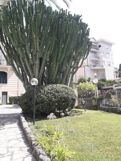La Casa Di Anna, In Palazzina Liberty Fronte Parco Lejlighed Bordighera Eksteriør billede